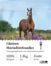 Load image into Gallery viewer, Liksteen Mariadistelzaadjes
